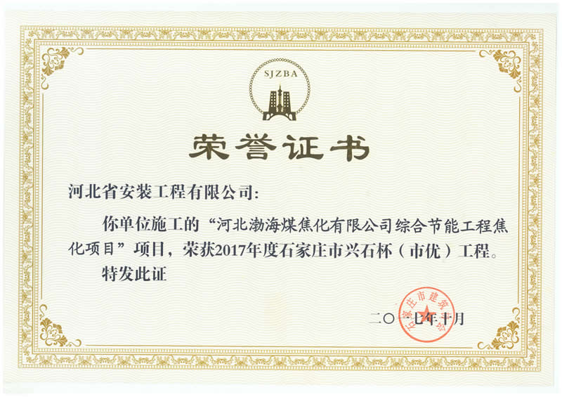 河北渤海煤焦化-2017市優